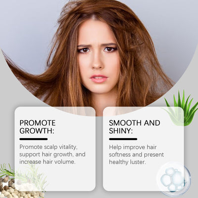 Moringa Seed Hair Care Essential Oil Hydrates, Moisturizes And Brightens Hair Care To Reduce Frizz And Smooth Hair